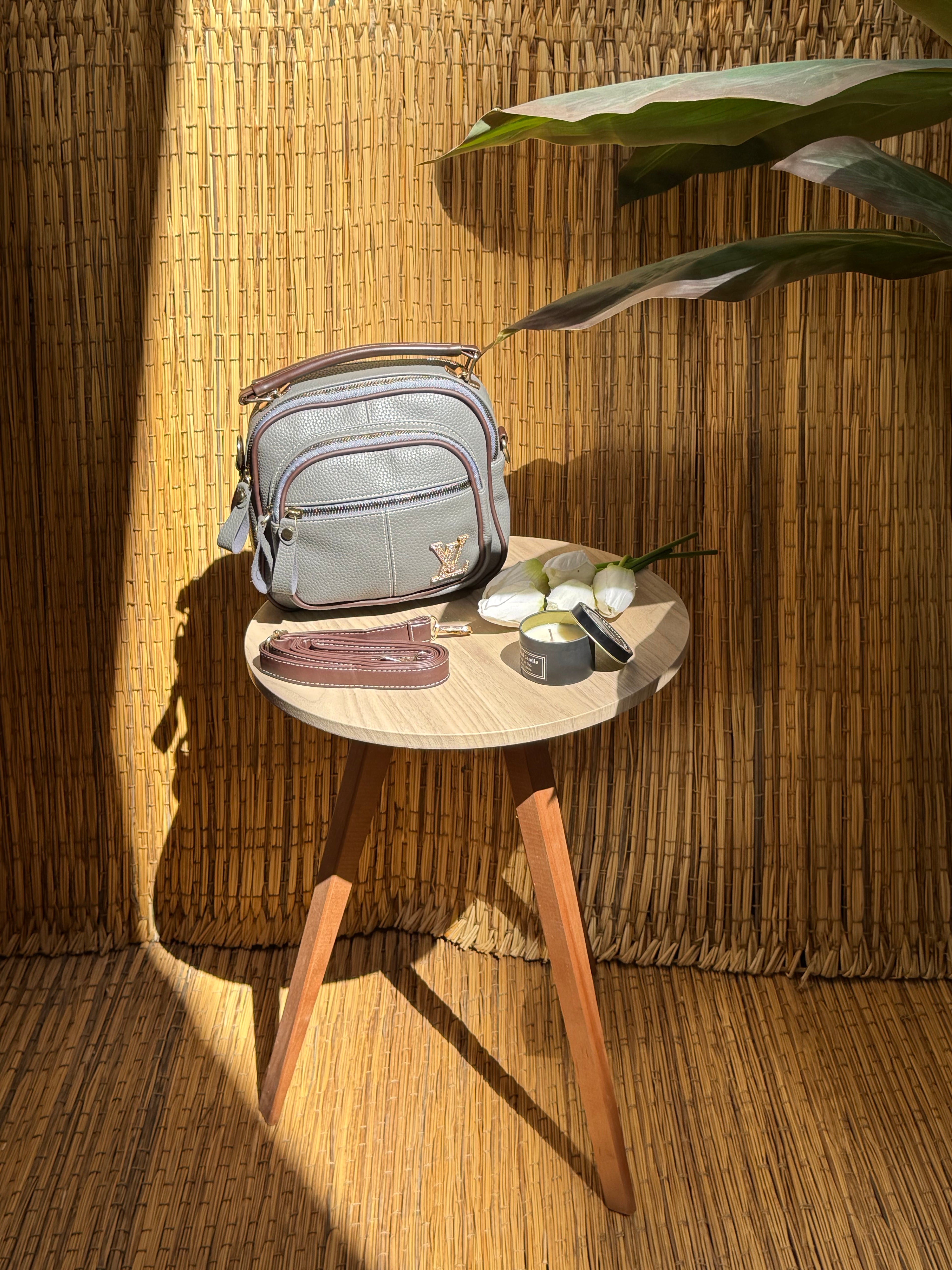 Louis Viton Women Bag T4